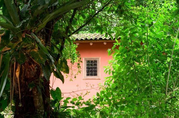 Hacienda La Isla Lodge Sarapiquí Exteriér fotografie