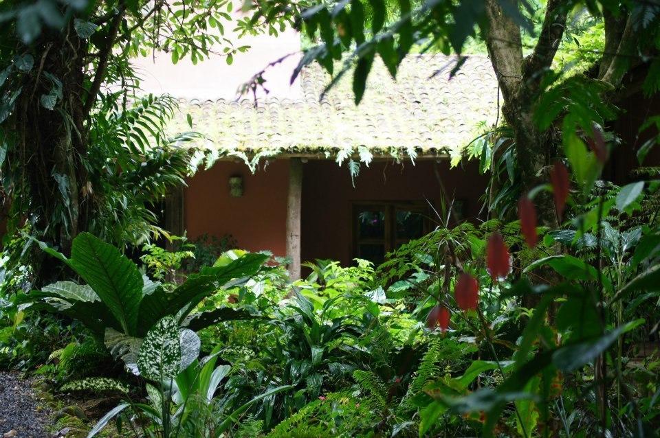 Hacienda La Isla Lodge Sarapiquí Exteriér fotografie